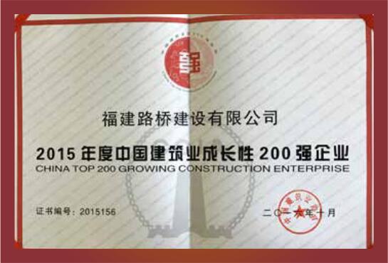 2015年度中国建筑业成长性200强企业